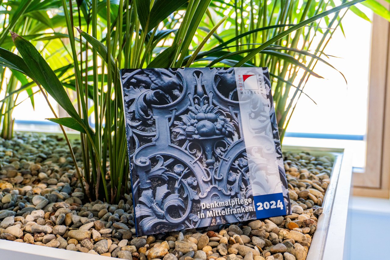 Der Begleitband steht angelehnt an einer Pflanze in einem Kiesbett und wird als Nahaufnahme fotografiert.