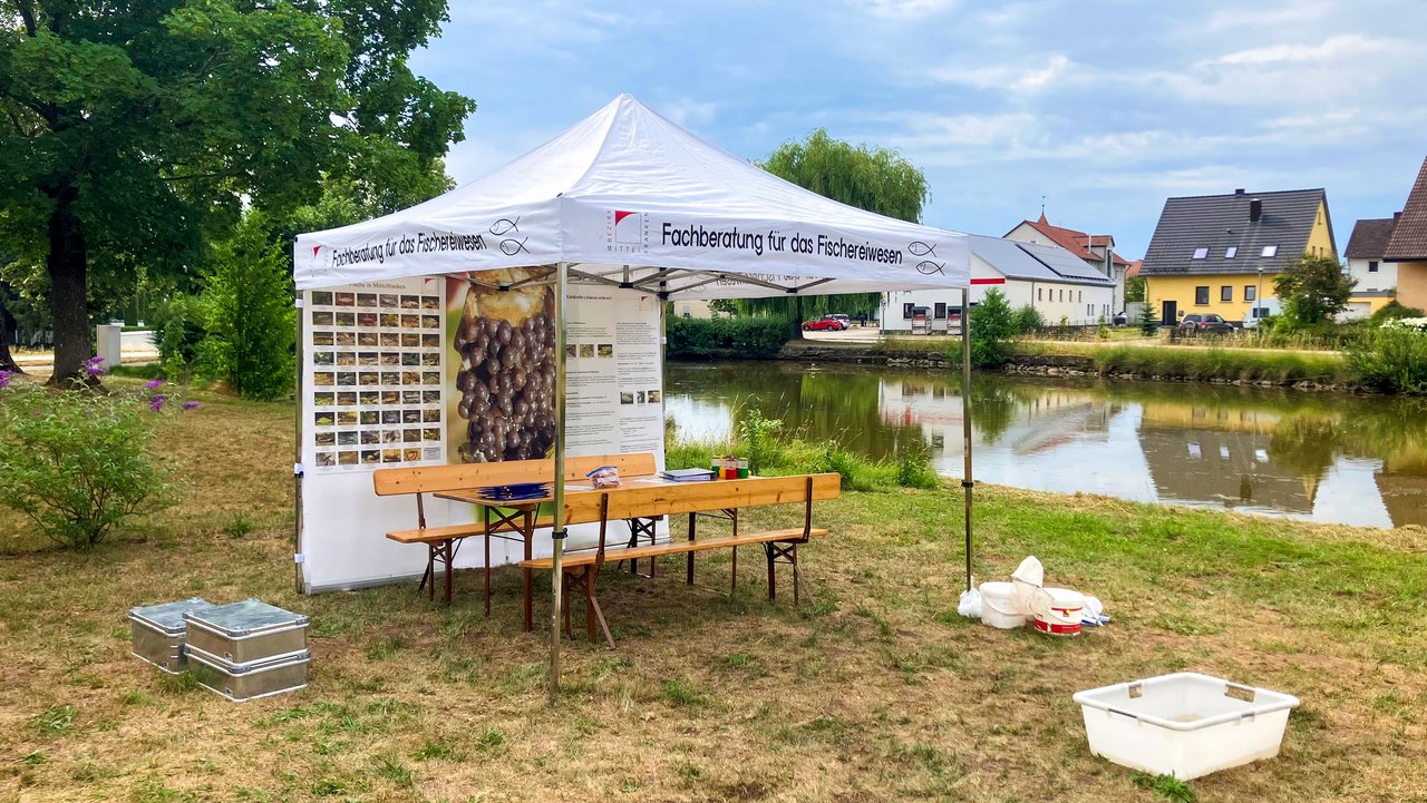 Zwei Bierbänke und ein Biertisch stehen unter einem Pavillon der Fischereifachberatung auf einer Wiese. Im Hintergrund ist ein Weiher zu sehen.