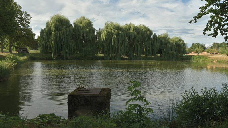 Landschaftsaufnahme eines Weihers in Triesdorf