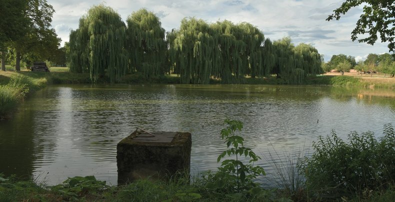 Landschaftsaufnahme eines Weihers in Triesdorf