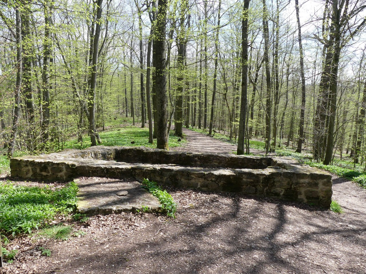 Foto einer Wachturmstelle im Burgstallwald.