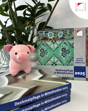 Ein Exemplar des Begleitbands zur Denkmalprämierung 2024 steht an eine Pflanze angelehnt.