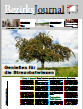 Screenshot der Titelseite des aktuellen Bezirksjournals